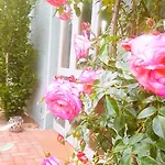Appartement Salvia