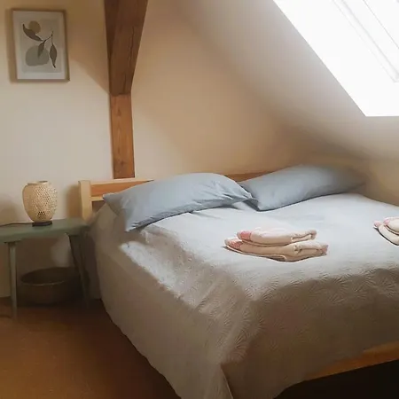 Salvia * Gremersdorf-Buchholz