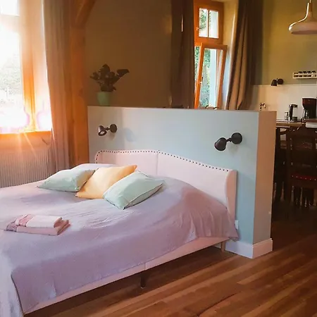 Salvia * Gremersdorf-Buchholz