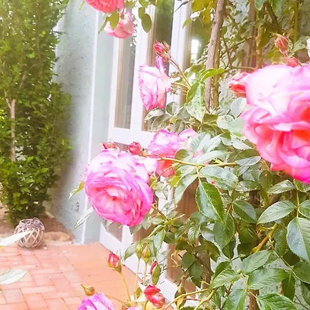 Apartment Salvia