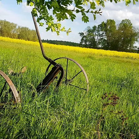 Salvia Apartament Gremersdorf-Buchholz