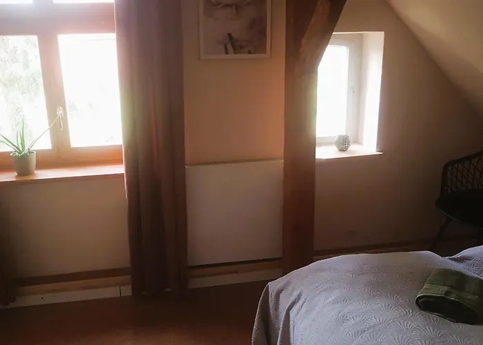 Salvia Gremersdorf-Buchholz