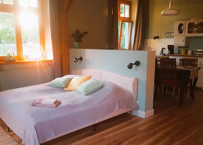 Salvia * Gremersdorf-Buchholz