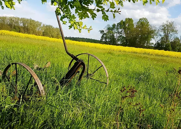 Salvia דירה Gremersdorf-Buchholz